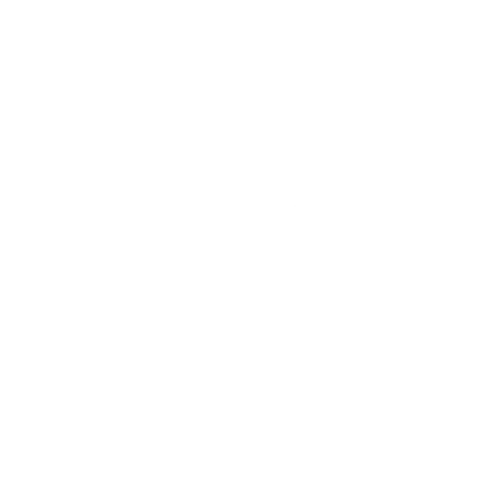 Inner Beat Coaching Logo: Pulse emanating from a circle breaking the outer, concentric circles. 
